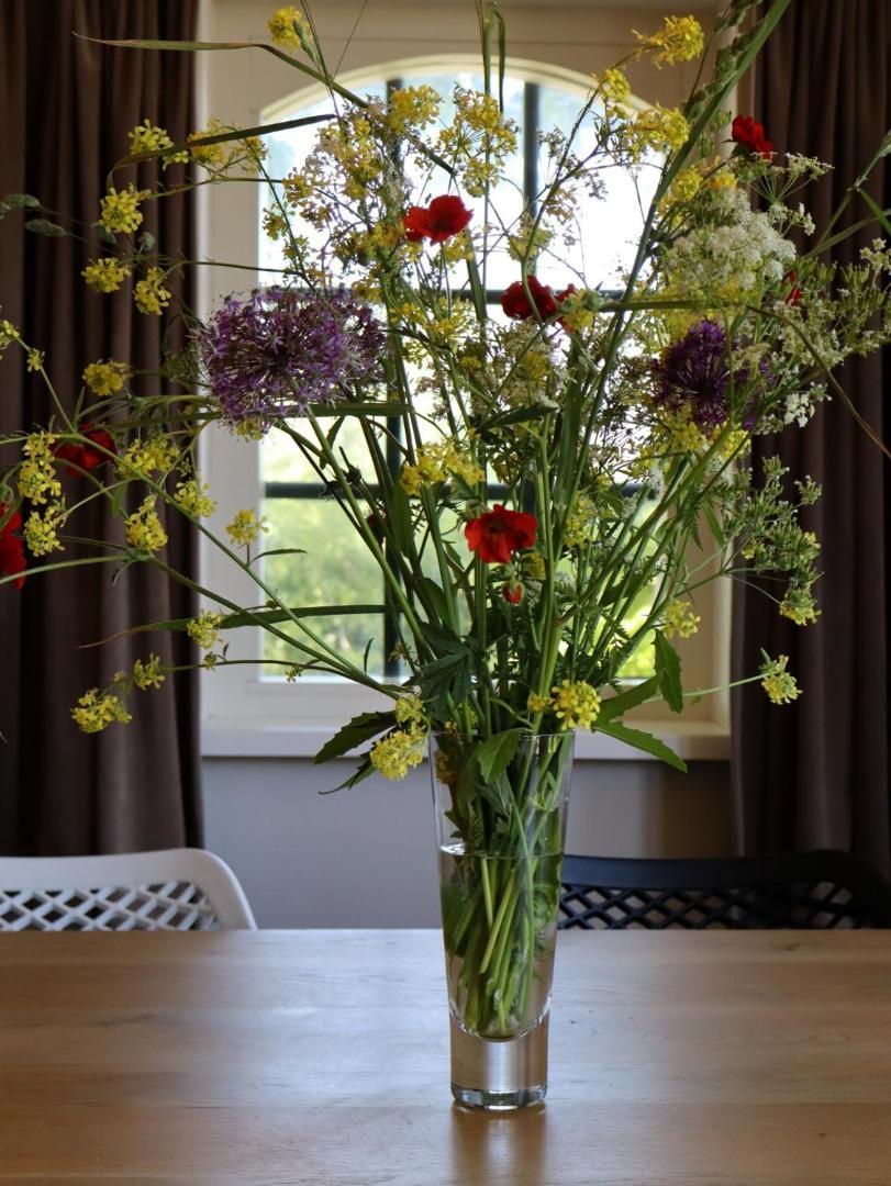 Luxe In Friesland Ferienhaus *